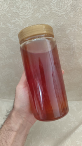 عسل تغذیه معمولی